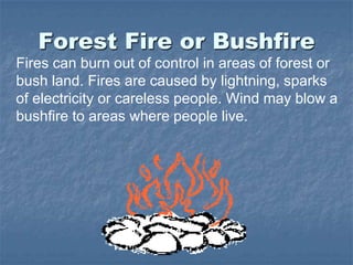 Forest Fire or Bushfire
Fires can burn out of control in areas of forest or
bush land. Fires are caused by lightning, sparks
of electricity or careless people. Wind may blow a
bushfire to areas where people live.
 