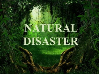 NATURAL 
DISASTER 
 