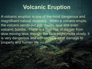 Volcanic Eruption 
A volcanic eruption is one of the most dangerous and 
magnificent natural disasters. When a volcano erupts, 
the volcano sends out ash clouds, lava and even 
volcanic bombs. There is a high risk of danger from 
slow moving lava; though, the lava might move slowly, it 
is very dangerous and can cause a lot of damage to 
property and human life. 
 