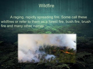 Wildfire 
A raging, rapidly spreading fire. Some call these 
wildfires or refer to them as a forest fire, bush fire, brush 
fire and many other names. 
 