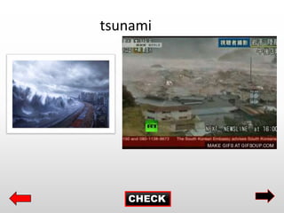 CHECK
tsunami
 