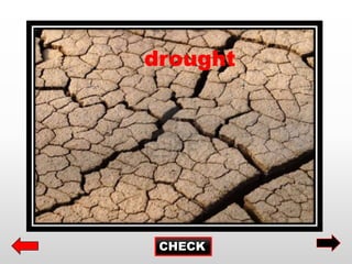CHECK
drought
 