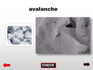 CHECK
avalanche
 
