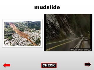 CHECK
mudslide
 