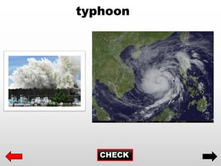 CHECK
typhoon
 