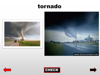 CHECK
tornado
 