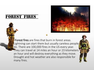 Forest Fires
Forest fires are fires that burn in forest areas.
Lightning can start them but usually careless people
do. There are 100,000 fires in the US every year.
They can travel at 14 miles an hour or 23 kilometers
an hour and will destroy everything as they move.
Drought and hot weather are also responsible for
many fires.
 