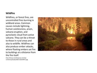 Wildfire
Wildfires, or forest fires, are
uncontrolled fires burning in
wildland areas. Common
causes include lightning,
human carelessness, arson,
volcano eruption, and
pyroclastic cloud from active
volcano. They can be a threat
to those in rural areas and
also to wildlife. Wildfires can
also produce ember attacks,
where floating embers set fire
to buildings at a distance from
the fire itself.
http://i0.wp.com/listverse.com/wp-
content/uploads/2007/10/wildfire.jpg
 