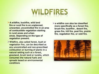Natural disasters | PPTX