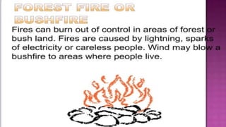 Natural Disasters Pdf