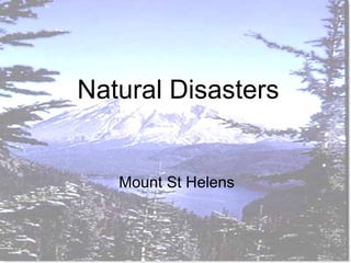 Natural Disasters Mount St Helens 