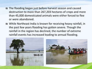 ₪ The flooding began just before harvest season and caused
destruction to more than 267,203 hectares of crops and more
than 45,000 domesticated animals were either forced to flee
or were abandoned.
₪ While Northeast India is known for receiving heavy rainfall, in
the past few years flooding has gotten severe. Though the
rainfall in the region has declined, the number of extreme
rainfall events has increased leading to annual flooding.
 