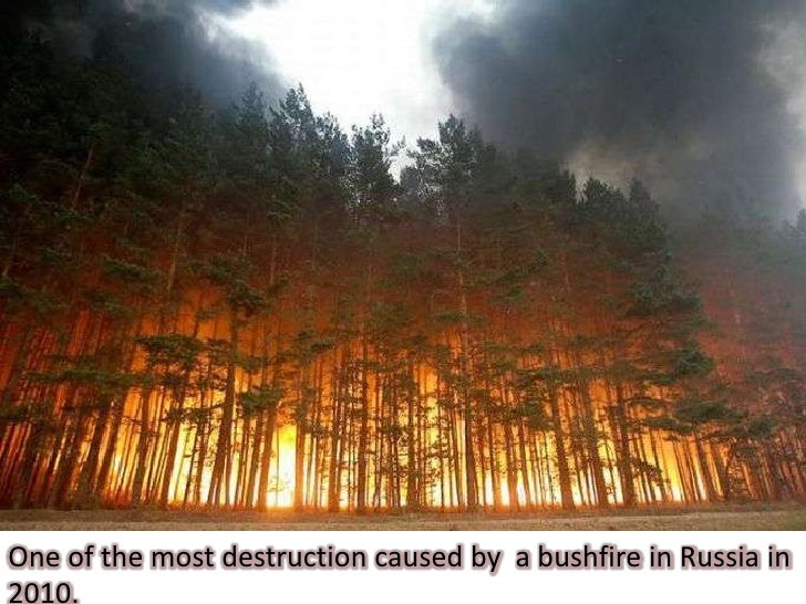 What Natural Disasters Occur In China What Natural Disasters Occur In China