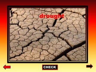 CHECK
drought
 