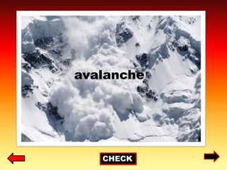 CHECK
avalanche
 