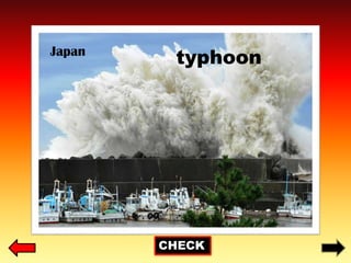 Japan
CHECK
typhoon
 