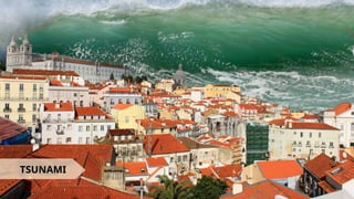 TSUNAMI
 