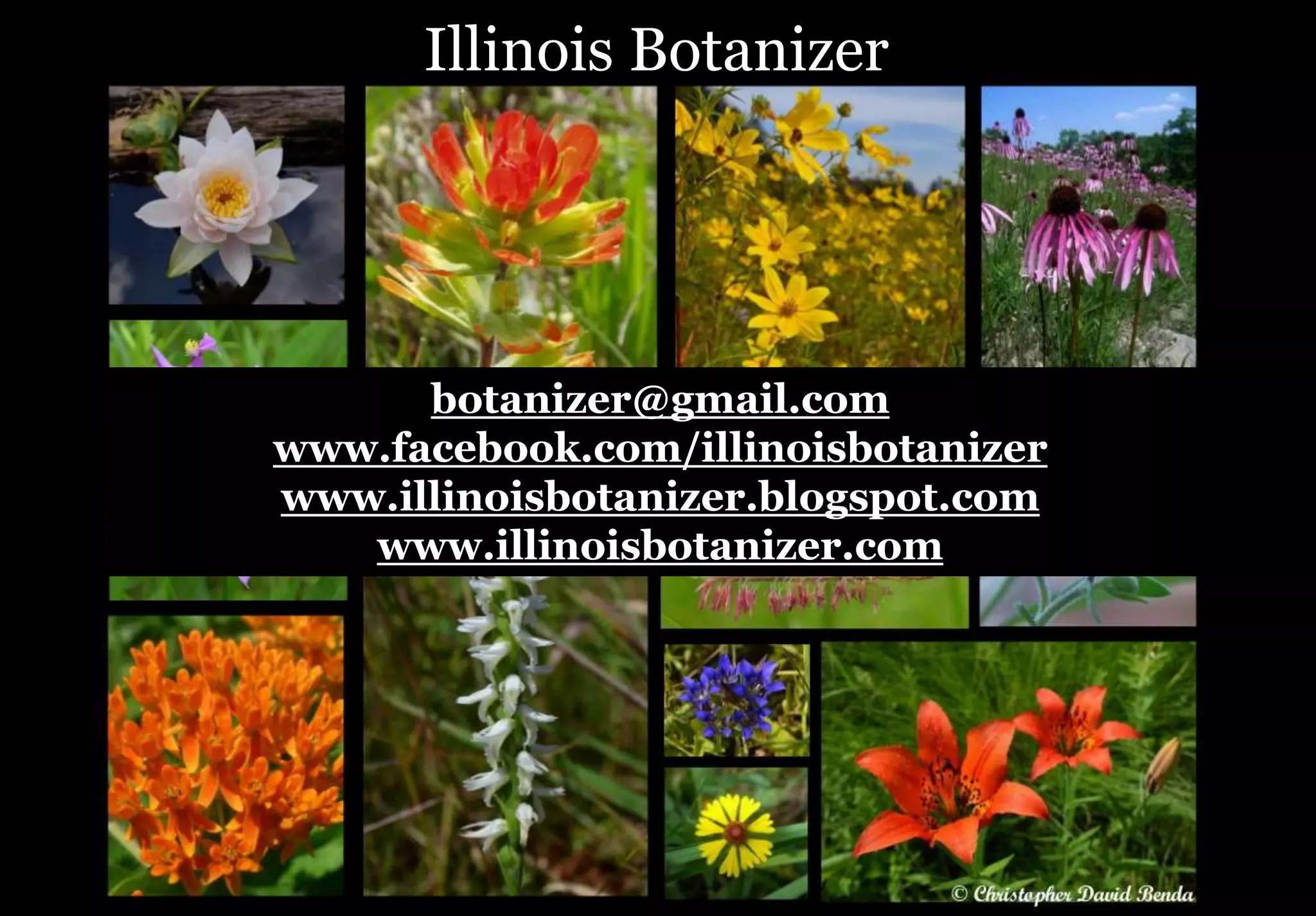 Natural Divisions Of Illinois