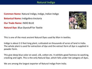 Natural Indigo
Common Name: Natural Indigo, Indigo, Indian Indigo
Botanical Name: Indigofera tinctoria
Our Trade Name: INDO BLUE
Natural Dye: Blue Dyestuff for Textile
This is one of the most ancient Natural Dyes used by Man in textiles.
Indigo is about 2-3 feet long plant, cultivated on thousands of acres of land in India.
The whole plant is used for extraction of dye and the extract form of dye is supplied in
powder form.
This give deep blue color on wool, silk, cotton etc. It exhibits good fastness to washing,
crocking and Light. This is the only Natural Dye, which falls under Vat category of dyes.
We are among the largest exporter of Natural Indigo from India.
 