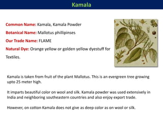 Kamala
Common Name: Kamala, Kamala Powder
Botanical Name: Mallotus phillipinses
Our Trade Name: FLAME
Natural Dye: Orange yellow or golden yellow dyestuff for
Textiles.
Kamala is taken from fruit of the plant Mallotus. This is an evergreen tree growing
upto 25 meter high.
It imparts beautiful color on wool and silk. Kamala powder was used extensively in
India and neighboring southeastern countries and also enjoy export trade.
However, on cotton Kamala does not give as deep color as on wool or silk.
 
