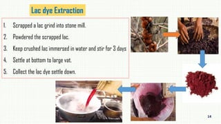 Natural dye(Madder,Cochineal,Lac and Fustic dye) | PDF