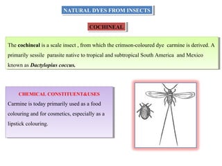 NATURAL DYES | PPT