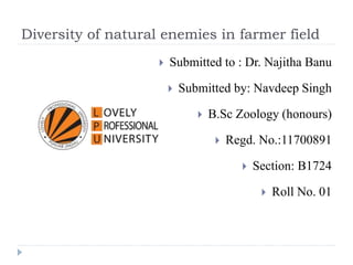 Diversity of natural enemies in farmer field
 Submitted to : Dr. Najitha Banu
 Submitted by: Navdeep Singh
 B.Sc Zoology (honours)
 Regd. No.:11700891
 Section: B1724
 Roll No. 01
 