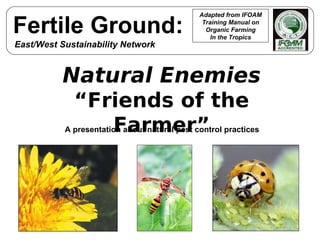 Natural Enemies “ Friends of the Farmer” A presentation about natural pest control practices Adapted from IFOAM Training Manual on Organic Farming In the Tropics Fertile Ground: East/West Sustainability Network 