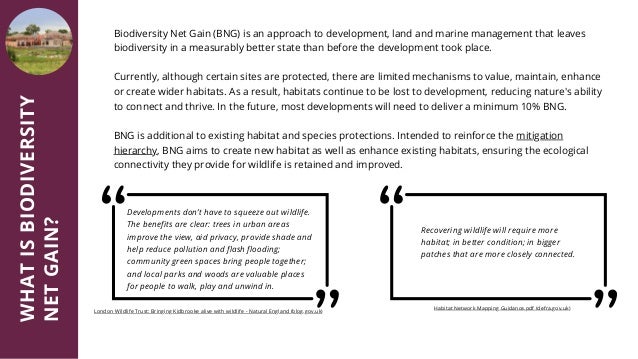 Natural England Biodiversity Net Gain Brochure | PDF
