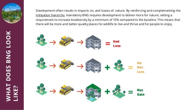 Natural England Biodiversity Net Gain Brochure | PDF