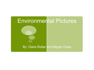 Environmental Pictures By: Claire Rotter and Megan Chew 