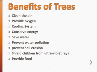 » Clean the air
» Provide oxygen
» Cooling System
» Conserve energy
» Save water
» Prevent water pollution
» prevent soil erosion
» Shield children from ultra-violet rays
» Provide food