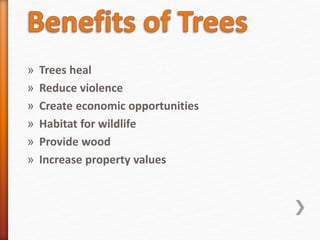 » Trees heal
» Reduce violence
» Create economic opportunities
» Habitat for wildlife
» Provide wood
» Increase property values