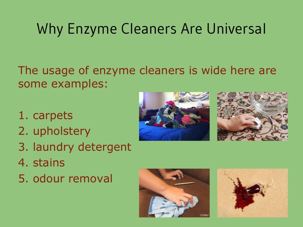 Homemade Natural Enzyme Cleaner With Citrus Scent 100 Toxic Free
