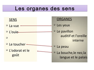Les organes des sensLes organes des sens
SENS
q
La vue
q
L'ouie
q
q
Le toucher
q
L'odorat et le
goût
ORGANES
q
Les yeux
q
Le pavillon
auditif et l'oreille
interne
q
La peau
q
La bouche,le nez,la
langue et le palais
 