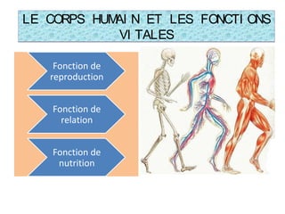 LE CORPS HUMAI N ET LES FONCTI ONS
VI TALES
LE CORPS HUMAI N ET LES FONCTI ONS
VI TALES
Fonction de
reproduction
Fonction de
relation
Fonction de
nutrition
 