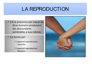LA REPRODUCTIONLA REPRODUCTION
●
Est le processus par lequel les
êtres humains produisent
des descendants
semblables à eux-mêmes
●
Est forme par:
ØL'appareil reproducteur
masculin
ØL'appareil reproducteur
fémenin
 