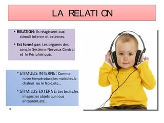 LA RELATI ONLA RELATI ON
●
RELATION: Ils réagissent aux
stimuli interne et externes.
●
Est formé par: Les organes des
sens,le Système Nerveux Central
et le Périphérique.
v
STIMULIS INTERNE: Comme
notre température,les maladies,la
chaleur ou le froid,etc...
v
STIMILUS EXTERNE: Les bruits,les
images,les objets qui nous
entourent,etc...
●
 