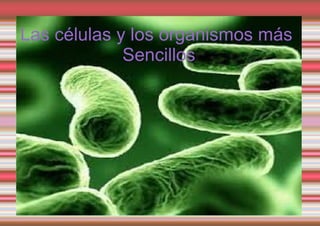 Las células los organismos más
Las células yylos organismosmás
sencillos
Sencillos

Título

 