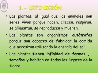 • Las plantas, al igual que los animales son
seres vivos porque nacen, crecen, respiran,
se alimentan, se reproducen y mueren.
• Las plantas son organismos autótrofos
porque son capaces de fabricar la comida
que necesitan utilizando la energía del sol.
• Las plantas tienen infinidad de formas ,
tamaños y habitan en todas los lugares de la
tierra.
 