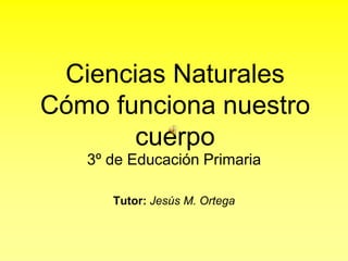 Ciencias Naturales
Cómo funciona nuestro
cuerpo
3º de Educación Primaria
Tutor: Jesús M. Ortega
 