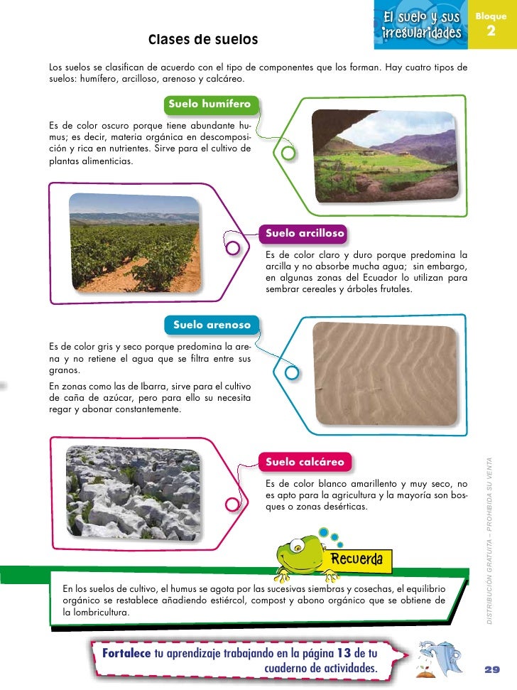 Naturales 4