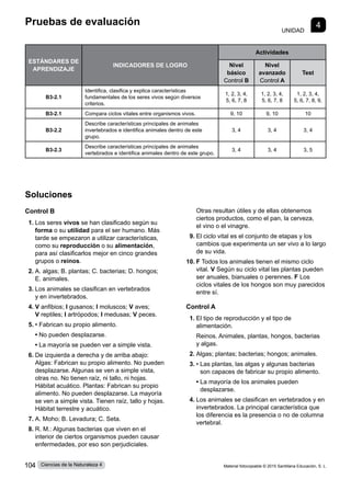 Pruebas de evaluación
UNIDAD
4
Soluciones
Control B
1.	Los seres vivos se han clasificado según su
forma o su utilidad para el ser humano. Más
tarde se empezaron a utilizar características,
como su reproducción o su alimentación,
para así clasificarlos mejor en cinco grandes
grupos o reinos.
2.	A. algas; B. plantas; C. bacterias; D. hongos;
E. animales.
3.	Los animales se clasifican en vertebrados
y en invertebrados.
4.	V anfibios; I gusanos; I moluscos; V aves;
V reptiles; I artrópodos; I medusas; V peces.
5.	• Fabrican su propio alimento.
	 • No pueden desplazarse.
	 • La mayoría se pueden ver a simple vista.
6.	De izquierda a derecha y de arriba abajo:
Algas: Fabrican su propio alimento. No pueden
desplazarse. Algunas se ven a simple vista,
otras no. No tienen raíz, ni tallo, ni hojas.
Hábitat acuático. Plantas: Fabrican su propio
alimento. No pueden desplazarse. La mayoría
se ven a simple vista. Tienen raíz, tallo y hojas.
Hábitat terrestre y acuático.
7.	A. Moho; B. Levadura; C. Seta.
8.	R. M.: Algunas bacterias que viven en el
interior de ciertos organismos pueden causar
enfermedades, por eso son perjudiciales.
Otras resultan útiles y de ellas obtenemos
ciertos productos, como el pan, la cerveza,
el vino o el vinagre.
9.	El ciclo vital es el conjunto de etapas y los
cambios que experimenta un ser vivo a lo largo
de su vida.
10.	F Todos los animales tienen el mismo ciclo
vital. V Según su ciclo vital las plantas pueden
ser anuales, bianuales o perennes. F Los
ciclos vitales de los hongos son muy parecidos
entre sí.
Control A
1.	El tipo de reproducción y el tipo de
alimentación.
	 Reinos. Animales, plantas, hongos, bacterias
y algas.
2.	Algas; plantas; bacterias; hongos; animales.
3.	• 
Las plantas, las algas y algunas bacterias
son capaces de fabricar su propio alimento.
	 • 
La mayoría de los animales pueden
desplazarse.
4.	Los animales se clasifican en vertebrados y en
invertebrados. La principal característica que
los diferencia es la presencia o no de columna
vertebral.
ESTÁNDARES DE
APRENDIZAJE
INDICADORES DE LOGRO
Actividades
Nivel
básico
Control B
Nivel
avanzado
Control A
Test
B3-2.1
Identifica, clasifica y explica características
fundamentales de los seres vivos según diversos
criterios.
1, 2, 3, 4,
5, 6, 7, 8
1, 2, 3, 4,
5, 6, 7, 8
1, 2, 3, 4,
5, 6, 7, 8, 9,
B3-2.1 Compara ciclos vitales entre organismos vivos. 9, 10 9, 10 10
B3-2.2
Describe características principales de animales
invertebrados e identifica animales dentro de este
grupo.
3, 4 3, 4 3, 4
B3-2.3
Describe características principales de animales
vertebrados e identifica animales dentro de este grupo.
3, 4 3, 4 3, 5
Material fotocopiable © 2015 Santillana Educación, S. L.
104 Ciencias de la Naturaleza 4
 