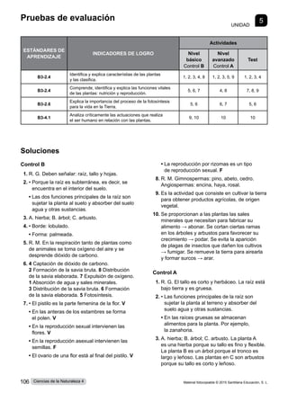Pruebas de evaluación
UNIDAD
5
Soluciones
Control B
1.	R. G. Deben señalar: raíz, tallo y hojas.
2.	• 
Porque la raíz es subterránea, es decir, se
encuentra en el interior del suelo.
	 • 
Las dos funciones principales de la raíz son
sujetar la planta al suelo y absorber del suelo
agua y otras sustancias.
3.	A. hierba; B. árbol; C. arbusto.
4.	• Borde: lobulado.
	 • Forma: palmeada.
5.	R. M. En la respiración tanto de plantas como
de animales se toma oxígeno del aire y se
desprende dióxido de carbono.
6.	4 Captación de dióxido de carbono.
2 Formación de la savia bruta. 8 Distribución
de la savia elaborada. 7 Expulsión de oxígeno.
1 Absorción de agua y sales minerales.
3 Distribución de la savia bruta. 6 Formación
de la savia elaborada. 5 Fotosíntesis.
7.	• 
El pistilo es la parte femenina de la flor. V
	 • 
En las anteras de los estambres se forma
el polen. V
	 • 
En la reproducción sexual intervienen las
flores. V
	 • 
En la reproducción asexual intervienen las
semillas. F
	 • 
El ovario de una flor está al final del pistilo. V
	 • 
La reproducción por rizomas es un tipo
de reproducción sexual. F
8.	R. M. Gimnospermas: pino, abeto, cedro.
Angiospermas: encina, haya, rosal.
9.	Es la actividad que consiste en cultivar la tierra
para obtener productos agrícolas, de origen
vegetal.
10.	Se proporcionan a las plantas las sales
minerales que necesitan para fabricar su
alimento → abonar. Se cortan ciertas ramas
en los árboles y arbustos para favorecer su
crecimiento → podar. Se evita la aparición
de plagas de insectos que dañen los cultivos
→ fumigar. Se remueve la tierra para airearla
y formar surcos → arar.
Control A
1.	R. G. El tallo es corto y herbáceo. La raíz está
bajo tierra y es gruesa.
2.	• 
Las funciones principales de la raíz son
sujetar la planta al terreno y absorber del
suelo agua y otras sustancias.
	 • 
En las raíces gruesas se almacenan
alimentos para la planta. Por ejemplo,
la zanahoria.
3.	A. hierba; B. árbol; C. arbusto. La planta A
es una hierba porque su tallo es fino y flexible.
La planta B es un árbol porque el tronco es
largo y leñoso. Las plantas en C son arbustos
porque su tallo es corto y leñoso.
ESTÁNDARES DE
APRENDIZAJE
INDICADORES DE LOGRO
Actividades
Nivel
básico
Control B
Nivel
avanzado
Control A
Test
B3-2.4
Identifica y explica característias de las plantas
y las clasifica.
1, 2, 3, 4, 8 1, 2, 3, 5, 9 1, 2, 3, 4
B3-2.4
Comprende, identifica y explica las funciones vitales
de las plantas: nutrición y reproducción.
5, 6, 7 4, 8 7, 8, 9
B3-2.6
Explica la importancia del proceso de la fotosíntesis
para la vida en la Tierra.
5, 6 6, 7 5, 6
B3-4.1
Analiza críticamente las actuaciones que realiza
el ser humano en relación con las plantas.
9, 10 10 10
Material fotocopiable © 2015 Santillana Educación, S. L.
106 Ciencias de la Naturaleza 4
 