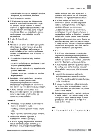 SEGUNDO trimestre
	 • 
Invertebrados: moluscos, esponjas, gusanos,
artrópodos, equinodermos, medusas.
3.	Fabrican su propio alimento.
4.	R. M. Algunas bacterias son útiles porque
ayudan al buen funcionamiento del cuerpo;
por ejemplo, las que viven en el intestino
favorecen la digestión de los alimentos, y de
otras se obtienen alimentos, como el yogur
y medicinas. Otras son perjudiciales porque
pueden causar enfermedades, como la
salmonelosis.
5.	A. tallo; B. hoja; C. raíz.
6.	R. G.
7.	A través de las raíces absorben agua y sales
minerales que forman la savia bruta. Las
hojas toman dióxido de carbono y con la
ayuda de la luz del sol transforman la savia
bruta en savia elaborada, que se reparte por
toda la planta.
8.	• 
Son plantas muy pequeñas y sencillas:
musgos.
	 • 
No producen frutos y sus semillas se forman
en piñas: gimnospermas.
	 • 
Tienen un tallo subterráneo y hojas bastante
grandes: helechos.
	 • 
Producen frutos que contienen las semillas:
angiospermas.
9.	Relaciones con el medio físico y entre los
seres vivos entre sí (alimentación,
competencia y cooperación). Solo las
relaciones de cooperación son beneficiosas
para las dos especies de seres que participan.
10.	R. M. La principal consecuencia es la
desaparición de especies por un exceso de
capturas o por dejar sin alimento a los
consumidores secundarios.
Control E
1.	• 
Animales y hongos: toman el alimento del
medio, de otros seres vivos.
	 • 
Plantas y animales: pueden verse a simple
vista.
	 • 
Algas y plantas: fabrican su propio alimento.
2.	Vertebrados (elefante y gaviota) e
invertebrados (medusa y avispa).
3.	R. M. Las algas y las plantas se asemejan
en que fabrican su propio alimento, y se
diferencian en que las plantas son todas
visibles a simple vista y las algas unas sí
y otras no. Las plantas son, en su mayoría,
terrestres y las algas son todas acuáticas.
4.	R. M. Los hongos: las levaduras son
beneficiosas porque con ellas se pueden
elaborar ciertos productos, como el pan.
Las setas: algunas son venenosas.
	 Las bacterias: algunas son beneficiosas,
como las que viven en el cuerpo humano y
nos ayudan a realizar la digestión, y otras son
perjudiciales porque causan enfermedades.
5.	La planta del maíz germina, crece, florece, se
reproduce y muere en doce o menos meses.
El perejil necesita dos periodos para completar
su ciclo vital: en el primer año crece y en un
segundo año florece y se reproduce.
6.	R. G.
	 R. M. En los estambres se forma el polen;
un grano de polen llega al pistilo y el ovario
de otra flor. El ovario madura y se transforma
en fruto, que contiene las semillas. La semilla
germina y da origen a una nueva planta.
7.	R. M. Estolones. Son tallos que crecen cerca
del suelo y cada cierta distancia producen
raíces y tallos nuevos, que originan nuevas
plantas.
8.	• 
Las distintas tareas que realizan los
agricultores para conseguir la cosecha.
	 • 
R. M.: Arar, sembrar, abonar, regar, fumigar,
podar y recolectar.
9.	El bosque mediterráneo está condicionado
por el clima: altas temperaturas en verano,
inviernos suaves, precipitaciones irregulares
y periodos de sequía.
10.	Relación de cooperación: La abeja consigue
el néctar de la flor para alimentarse y la flor
consigue un medio de hacer llegar el polen,
que se pega a las patas y el cuerpo de la
abeja, a otras flores.
Test
1. c; 2. b; 3. a; 4. b; 5. c; 6. c; 7. a; 8. b; 9. b; 10. c.
Material fotocopiable © 2015 Santillana Educación, S. L. 111
Ciencias de la Naturaleza 4
 