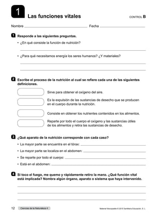 Nombre Fecha
CONTROL B
Las funciones vitales
1
1 	 Responde a las siguientes preguntas.
•  ¿En qué consiste la función de nutrición?

•  ¿Para qué necesitamos energía los seres humanos? ¿Y materiales?


2 	 Escribe el proceso de la nutrición al cual se refiere cada una de las siguientes
definiciones.
 
Sirve para obtener el oxígeno del aire.
 
Es la expulsión de las sustancias de desecho que se producen
en el cuerpo durante la nutrición.
 
Consiste en obtener los nutrientes contenidos en los alimentos.
 
Reparte por todo el cuerpo el oxígeno y las sustancias útiles
de los alimentos y retira las sustancias de desecho.
3 	 ¿Qué aparato de la nutrición corresponde con cada caso?
•  La mayor parte se encuentra en el tórax: 
•  La mayor parte se localiza en el abdomen: 
•  Se reparte por todo el cuerpo: 
•  Está en el abdomen: 
4 	 Si toco el fuego, me quemo y rápidamente retiro la mano. ¿Qué función vital
está implicada? Nombra algún órgano, aparato o sistema que haya intervenido.



Material fotocopiable © 2015 Santillana Educación, S. L.
12 Ciencias de la Naturaleza 4
 