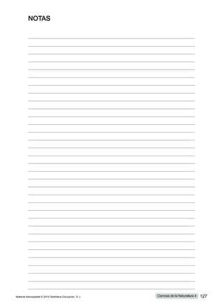 NOTAS
Material fotocopiable © 2015 Santillana Educación, S. L. 127
Ciencias de la Naturaleza 4
 