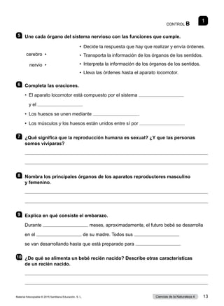 CONTROL B
1
5 	 Une cada órgano del sistema nervioso con las funciones que cumple.
cerebro  •
nervio  •
•  
Decide la respuesta que hay que realizar y envía órdenes.
•  
Transporta la información de los órganos de los sentidos.
•  
Interpreta la información de los órganos de los sentidos.
•  Lleva las órdenes hasta el aparato locomotor.
6 	 Completa las oraciones.
•	 El aparato locomotor está compuesto por el sistema
	 y el
•	 Los huesos se unen mediante .
•	 Los músculos y los huesos están unidos entre sí por
7 	 ¿Qué significa que la reproducción humana es sexual? ¿Y que las personas
somos vivíparas?


8 	 Nombra los principales órganos de los aparatos reproductores masculino
y femenino.


9 	 Explica en qué consiste el embarazo.
Durante meses, aproximadamente, el futuro bebé se desarrolla
en el de su madre. Todos sus
se van desarrollando hasta que está preparado para
10	 ¿De qué se alimenta un bebé recién nacido? Describe otras características
de un recién nacido.


Material fotocopiable © 2015 Santillana Educación, S. L. 13
Ciencias de la Naturaleza 4
 