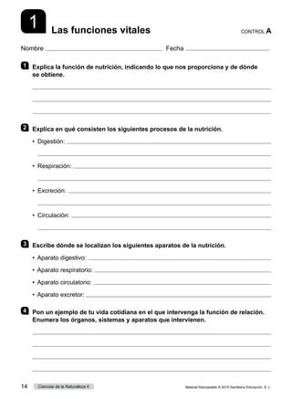Nombre Fecha
1 Las funciones vitales CONTROL A
1 	 Explica la función de nutrición, indicando lo que nos proporciona y de dónde
se obtiene.



2 	 Explica en qué consisten los siguientes procesos de la nutrición.
•	 Digestión: 
	 
•	 Respiración: 
	 
•	 Excreción: 
	 
•	 Circulación: 
	 
3 	 Escribe dónde se localizan los siguientes aparatos de la nutrición.
•  Aparato digestivo: 
•  Aparato respiratorio: 
•  Aparato circulatorio: 
•  Aparato excretor: 
4 	 Pon un ejemplo de tu vida cotidiana en el que intervenga la función de relación.
Enumera los órganos, sistemas y aparatos que intervienen.




Material fotocopiable © 2015 Santillana Educación, S. L.
14 Ciencias de la Naturaleza 4
 