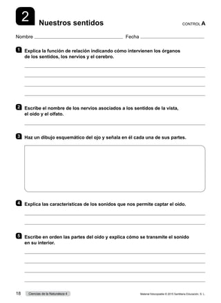 Nombre Fecha
2 Nuestros sentidos CONTROL A
1 	 Explica la función de relación indicando cómo intervienen los órganos
de los sentidos, los nervios y el cerebro.




2 	 Escribe el nombre de los nervios asociados a los sentidos de la vista,
el oído y el olfato.

3 	 Haz un dibujo esquemático del ojo y señala en él cada una de sus partes.
4 	 Explica las características de los sonidos que nos permite captar el oído.


5 	 Escribe en orden las partes del oído y explica cómo se transmite el sonido
en su interior.




Material fotocopiable © 2015 Santillana Educación, S. L.
18 Ciencias de la Naturaleza 4
 